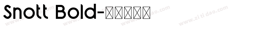 Snott Bold字体转换